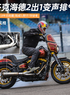现货哈雷街霸路威S肥仔突破改装变声排气DS风格全段杰克海德2出一