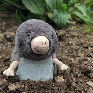 jellycat马斯韦尔鼹鼠可爱毛绒公仔玩偶安抚玩具宝宝大人礼物