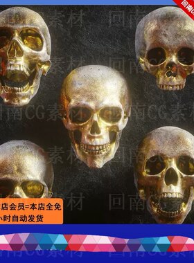 5组骷髅头部人类骨骼雕刻3D模型合集