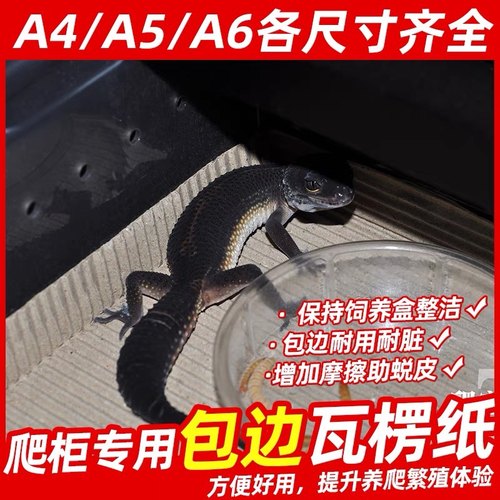 Vbox爬柜瓦楞纸A4A6A5牛皮纸垫材爬虫爬箱饲养盒配套纸守宫蜥蜴