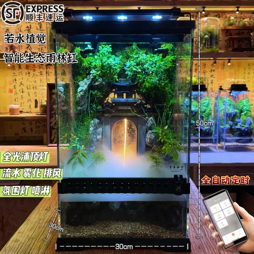 成品全自动雨林缸景观远程定时