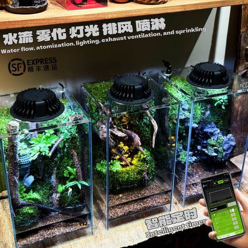 高颜值智能成品超白雨林缸