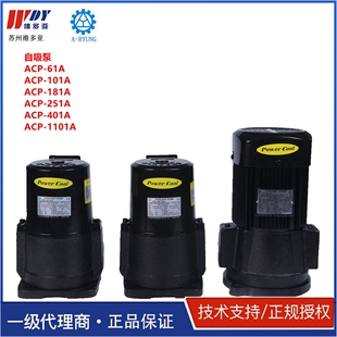 亚隆A 101A181A251A401A1101A61A RYUNG机床冷却切削液自吸泵ACP