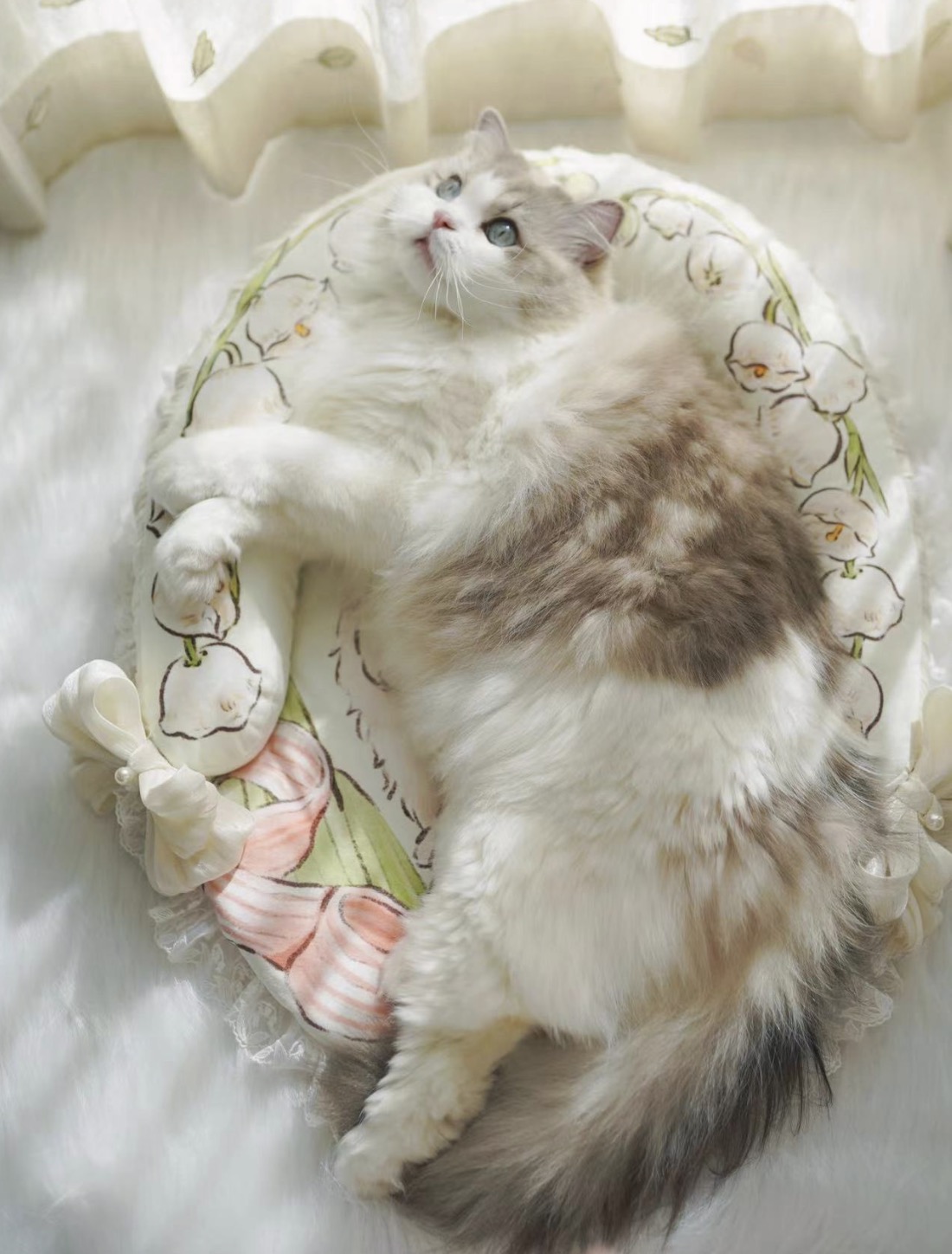 欧阳冰冰宠物用品猫窝大漂亮