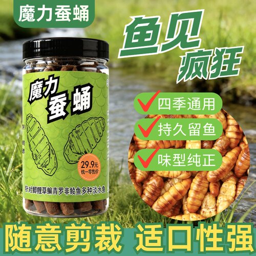 【拍一发二】魔力蚕蛹饵料野钓钓鱼诱鱼利器黑坑野钓鲫鱼鲤鱼偷驴