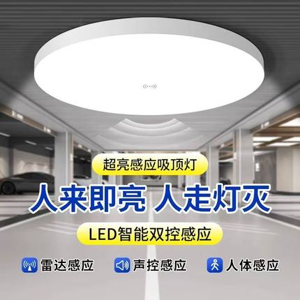 欧格雷led吸顶灯人体雷达声控感应三防走廊过道入户玄关阳台灯具