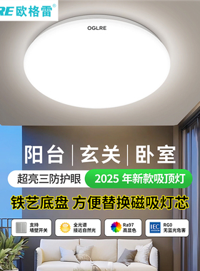 欧格雷led吸顶灯可换磁吸灯芯12W120W客厅卧室19cm圆形厨卫过道灯