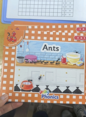 Jolly Phonics自然拼读0级橙色套装绘本共21本幼儿园儿童英语入门