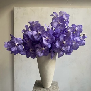 胡姬万千代兰泰国洋兰千代兰鲜切花办公室家庭瓶插花艺婚庆比赛