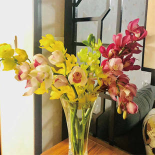 大花蕙惠兰小众稀有精品应季花材家庭瓶插花艺婚庆节日比赛装饰花