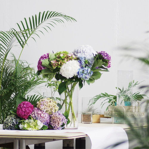 家庭花艺价格 家庭花艺图片 星期三