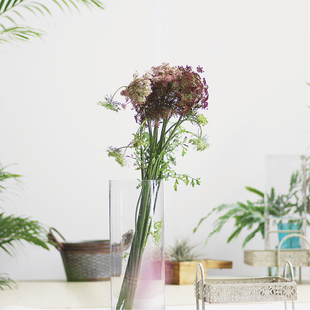 七彩蕾丝咖啡色白色高端柔美小众稀有花材昆明直发顺丰空运直达