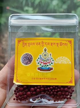 亚青S多种圣物合集的尝jie脱宝物