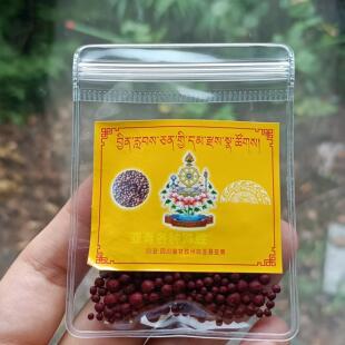 亚青S多种圣物合集的尝jie脱宝物