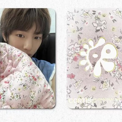 新款cortis周边自印金主训粉色猪猪三寸圆角小卡高颜值精美收藏卡