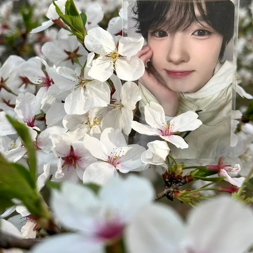 新款韩国男子演唱组合NCT高颜值sakuya自印拍立得三寸装饰小卡