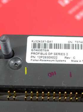 @EMERSON DeltaV KJ3243X1-BA1 艾默生DP模块 Fisher-Rosemount询