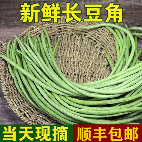 新鲜豆角长豆角挂豆绿色