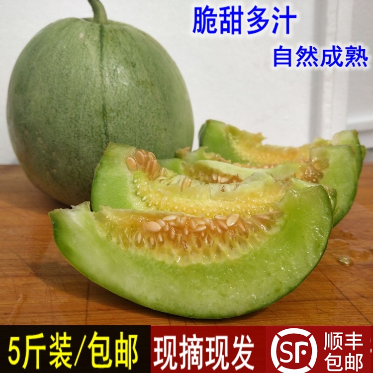 现摘绿皮香瓜新鲜包邮头茬