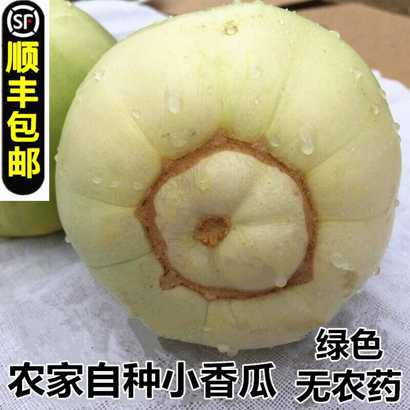 湖北新鲜小香瓜苹果甜瓜本地头茬小白梨瓜白糖蜜瓜生吃水果10斤顺