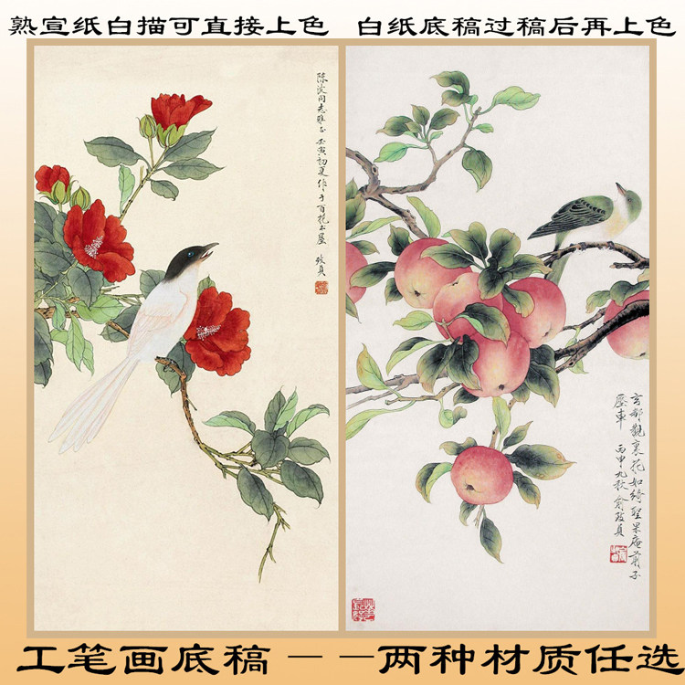 N155花鸟苹果扶桑工笔画白描底稿熟宣纸白纸线描初学者练习用条幅,家居饰品,国画,淘宝优惠券,粉丝福利购,淘宝优惠卷