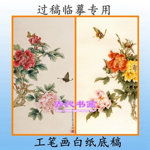 M22俞致贞赵贵德牡丹高清工笔画白描底稿线描白纸画稿临摹过稿俞