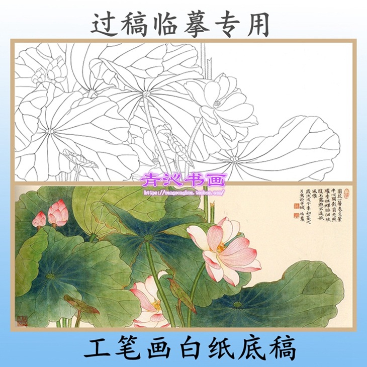 H79荷花工笔画白描底稿实物白纸线描画稿横幅