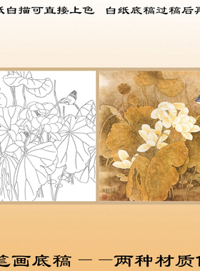 H8荷花枯荷熟宣纸白描线描直接上色工笔画白纸底稿过稿后上色斗方