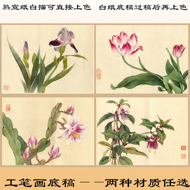 z32俞致贞玉蝉花郁金香田世光令箭吊金钟工笔画白描底稿熟宣纸稿