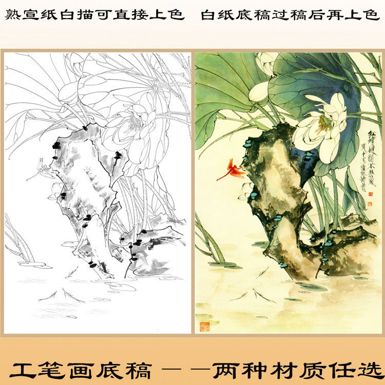 h110王道中荷花工笔画白描底稿白纸熟宣纸画稿任选线描国画条幅