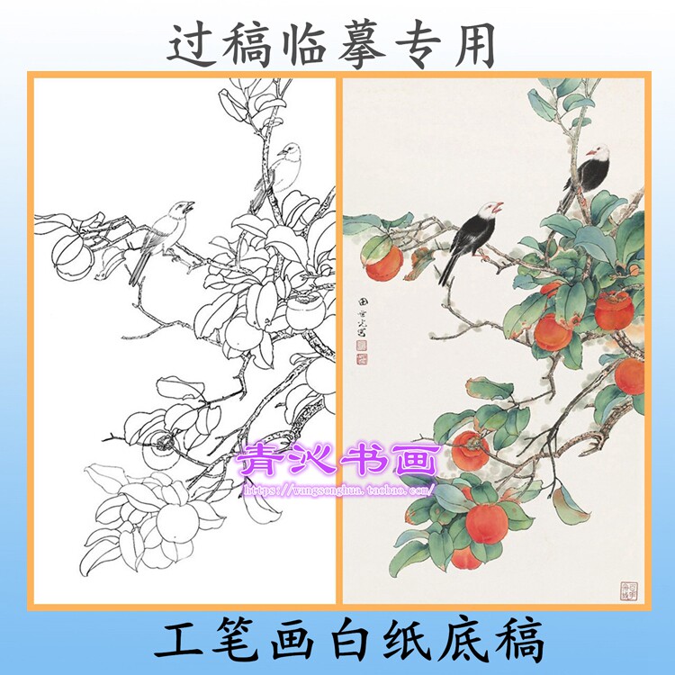 n222田世光柿子白头翁花鸟工笔画白描底稿白纸线描国画稿条幅