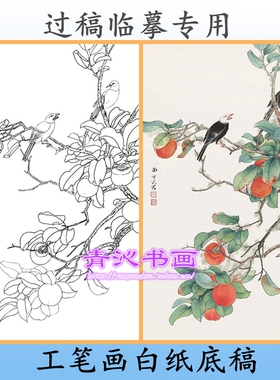 N222田世光柿子白头翁花鸟工笔画白描底稿白纸线描国画稿条幅