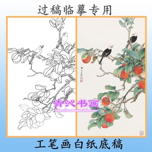 N222田世光柿子白头翁花鸟工笔画白描底稿白纸线描国画稿条幅