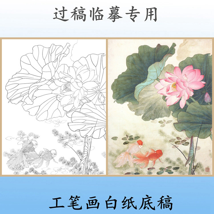 h231荷花金鱼相伴图工笔画白描底稿线描国画稿过稿临摹专用条幅