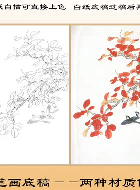 N286红叶小鸟花鸟熟宣纸白描底稿线描国画稿初学者可直接上色条幅