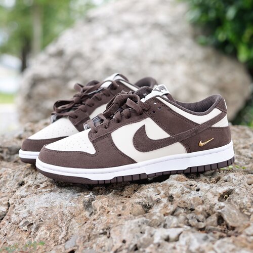 Nike耐克DUNKLOW小金钩板鞋女