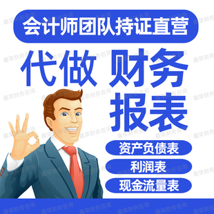 代做财务报表银行贷款报表附注招投标资产负债表利润表现金流量表