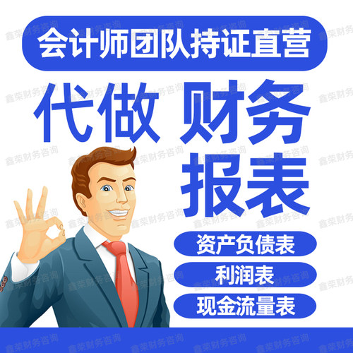 代做财务报表附注资产负债表