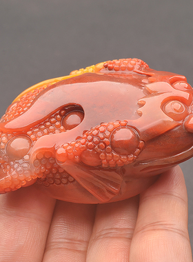 天然黄龙玉金蟾手把件茄子山料红色正品玉石蟾蜍把件癞蛤蟆小摆件