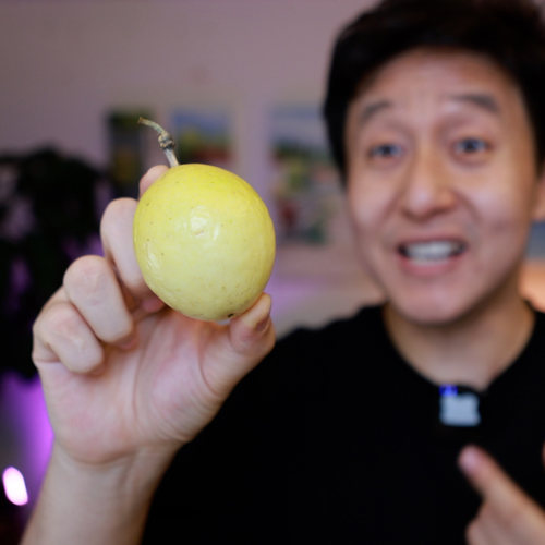 【钳子拯救没胃口】正宗海南钦蜜9号黄金百香果 甜酸