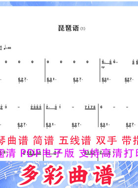 01167琵琶语 (一个陌生女人的来信)  林海 钢琴曲双手简谱3页