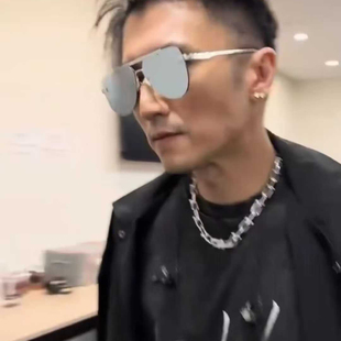 太阳眼镜 谢霆锋演唱会同款 驴牌蛤蟆镜潮流墨镜 ASH Z1262E