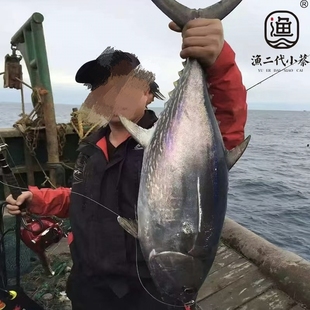 刺身级新鲜海钓太平洋蓝鳍金枪鱼东方蓝鳍黑鲔免费帮切顺丰特快