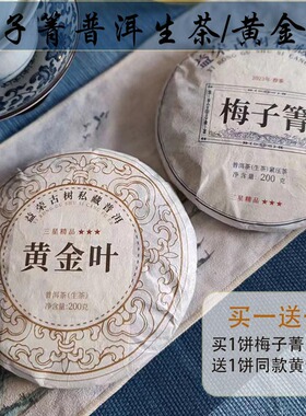 梅子菁黄金叶普洱生茶香似昔归甜似冰岛古树七子饼茶200克紧压茶