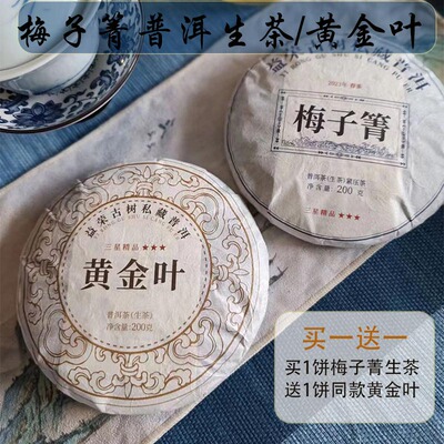 梅子箐黄金叶香似昔归甜似冰岛