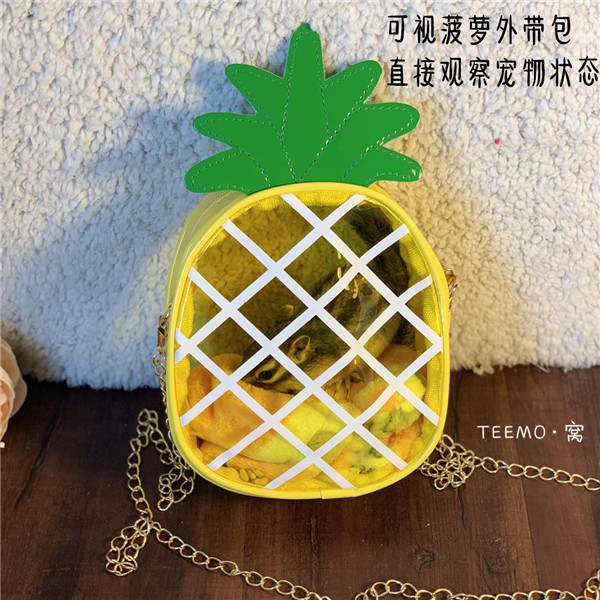 金花松鼠金丝熊仓鼠蜜袋鼯飞鼠【菠萝可视外带包】外出包 外出袋
