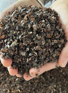 刘大姐荞麦皮散装荞麦壳枕芯填充物枕头芯填充杀菌免洗家用甜荞壳