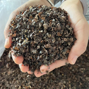 刘大姐荞麦皮散装荞麦壳枕芯填充物枕头芯填充杀菌免洗家用甜荞壳