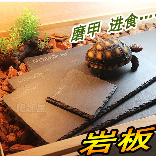 陆龟岩板岩石喂食盘爬虫食盆