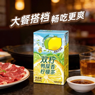 【Sam代购零食】碧泉双柠鸭屎香柠檬茶 250ml 酸甜可口 休闲饮料